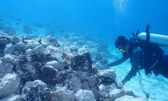 Yayasan WWF Indonesia Epson Campaign.com kampanye #BeABlueTraveler wisata bahari